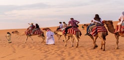 Enjoy the Desert Safari with Your Kid in Dubai 